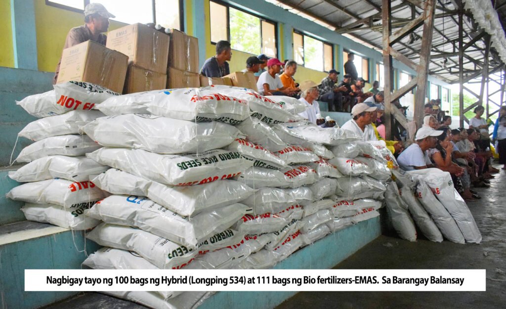 Pamamahagi ng Hybrid Seeds at Fertilizers sa Barangay Balansay